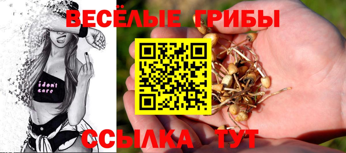Галлюциногенные грибы Magic Shrooms  где купить наркоту  Вход с VPN  Янаул  Галлюциногенные грибы Cubensis 